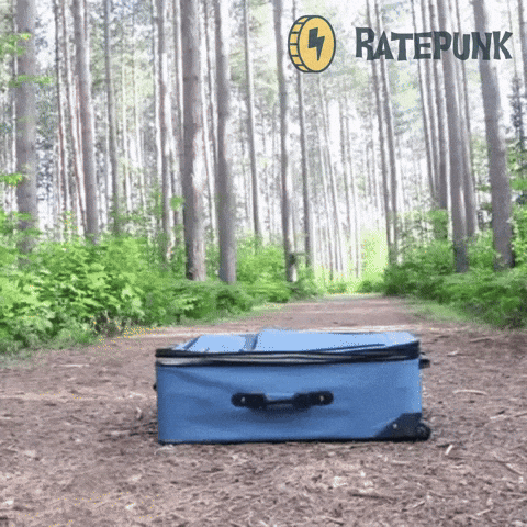 gif of dog climbing into suitcase