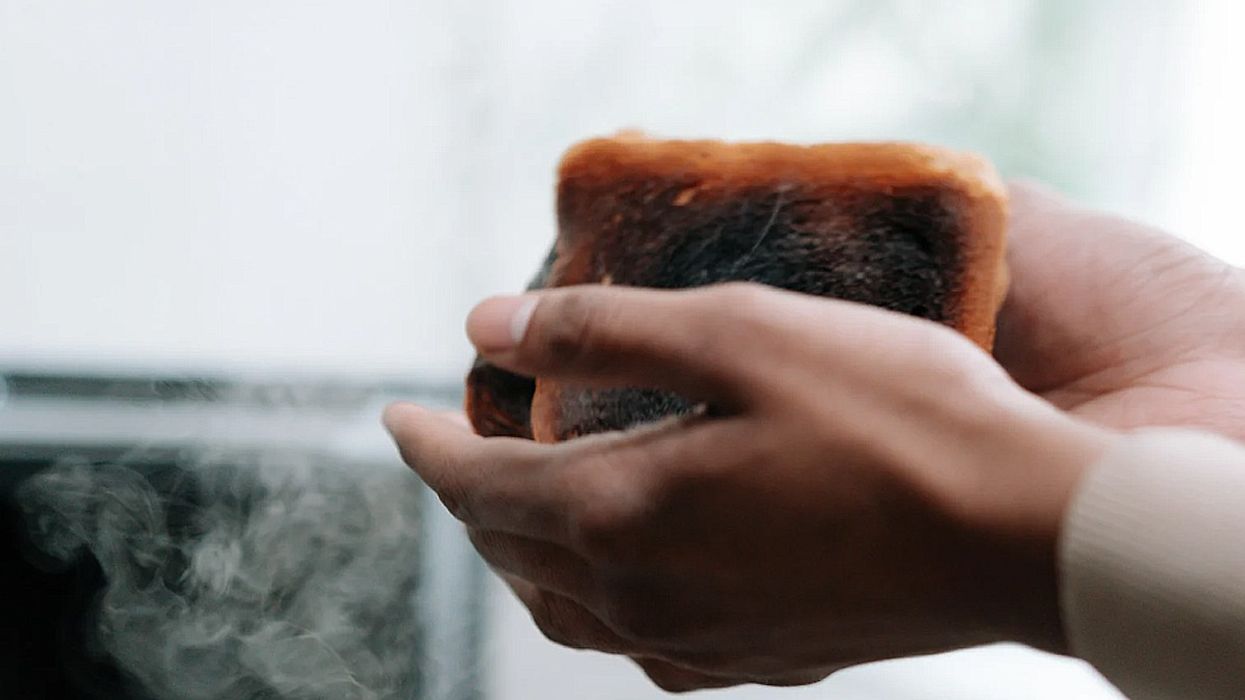 Hands holding slices of burnt toast