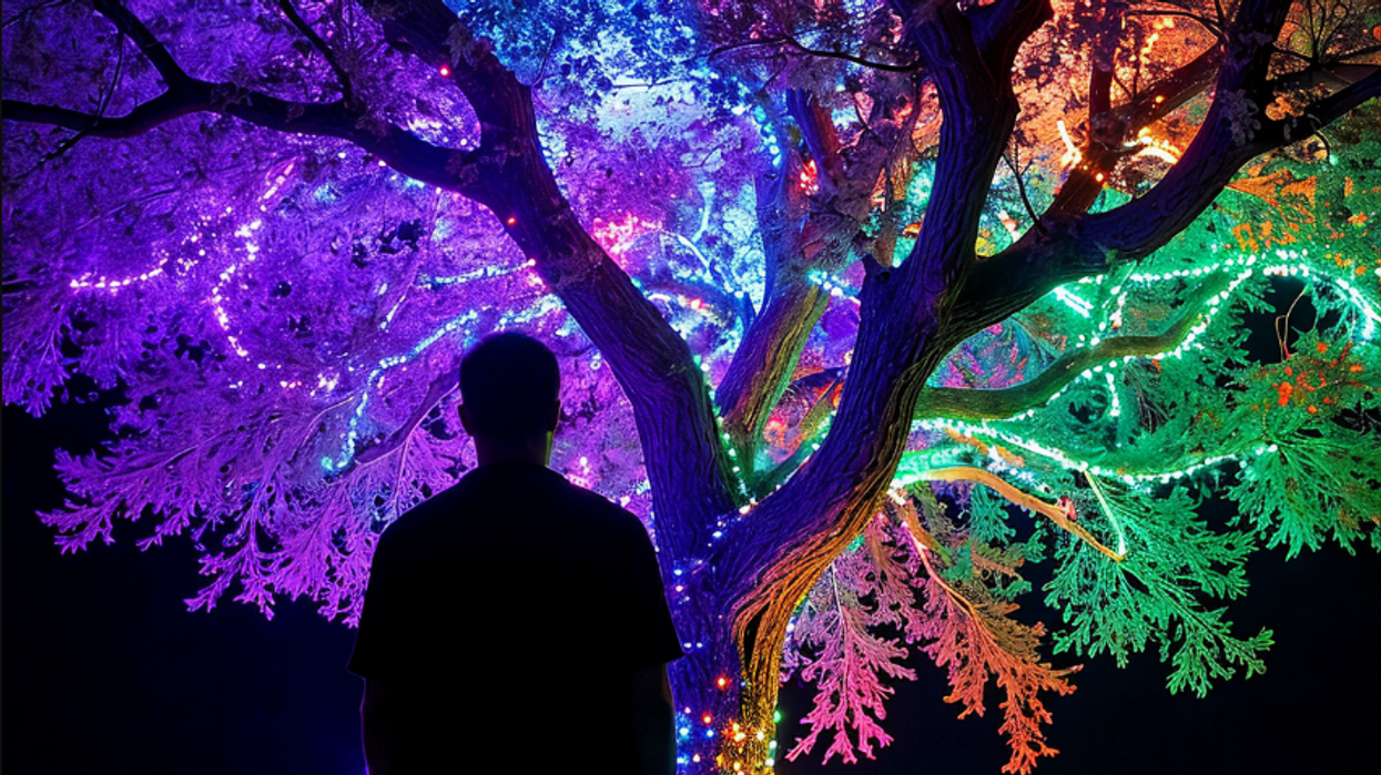 HOA regrets trimming homeowner's mulberry tree after homeowner's dazzling display of revenge