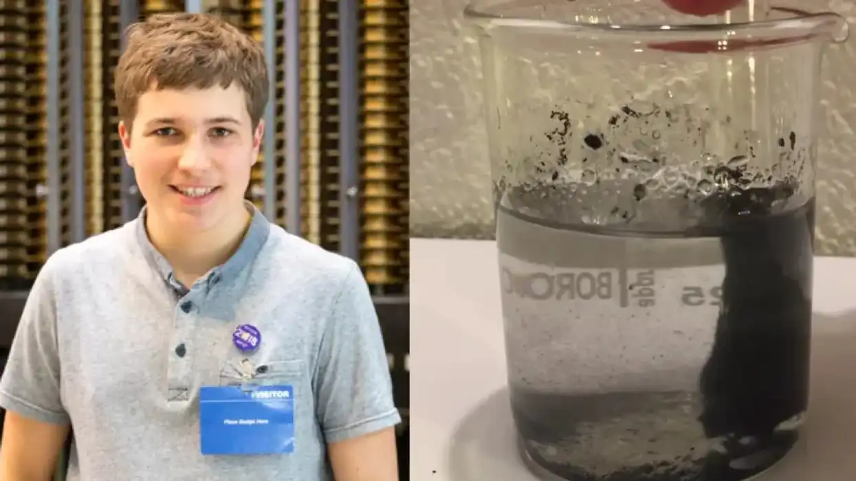 18-year-old's solution to the microplastic crisis wins the Google Science Fair