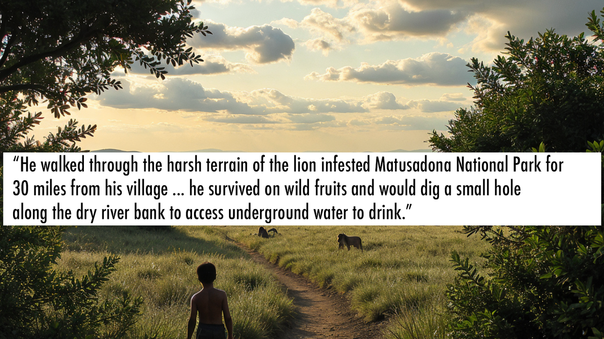 lost boy, rescue, national park, lions, survivor