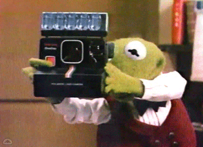 Polaroid camera, film camera, Kermit
