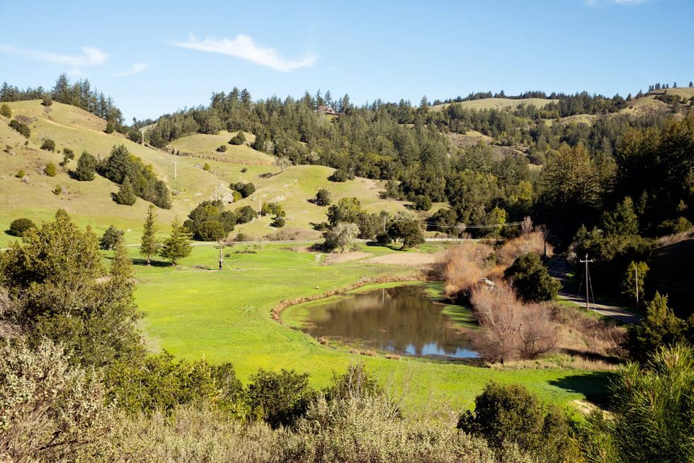 Rewilded golf course