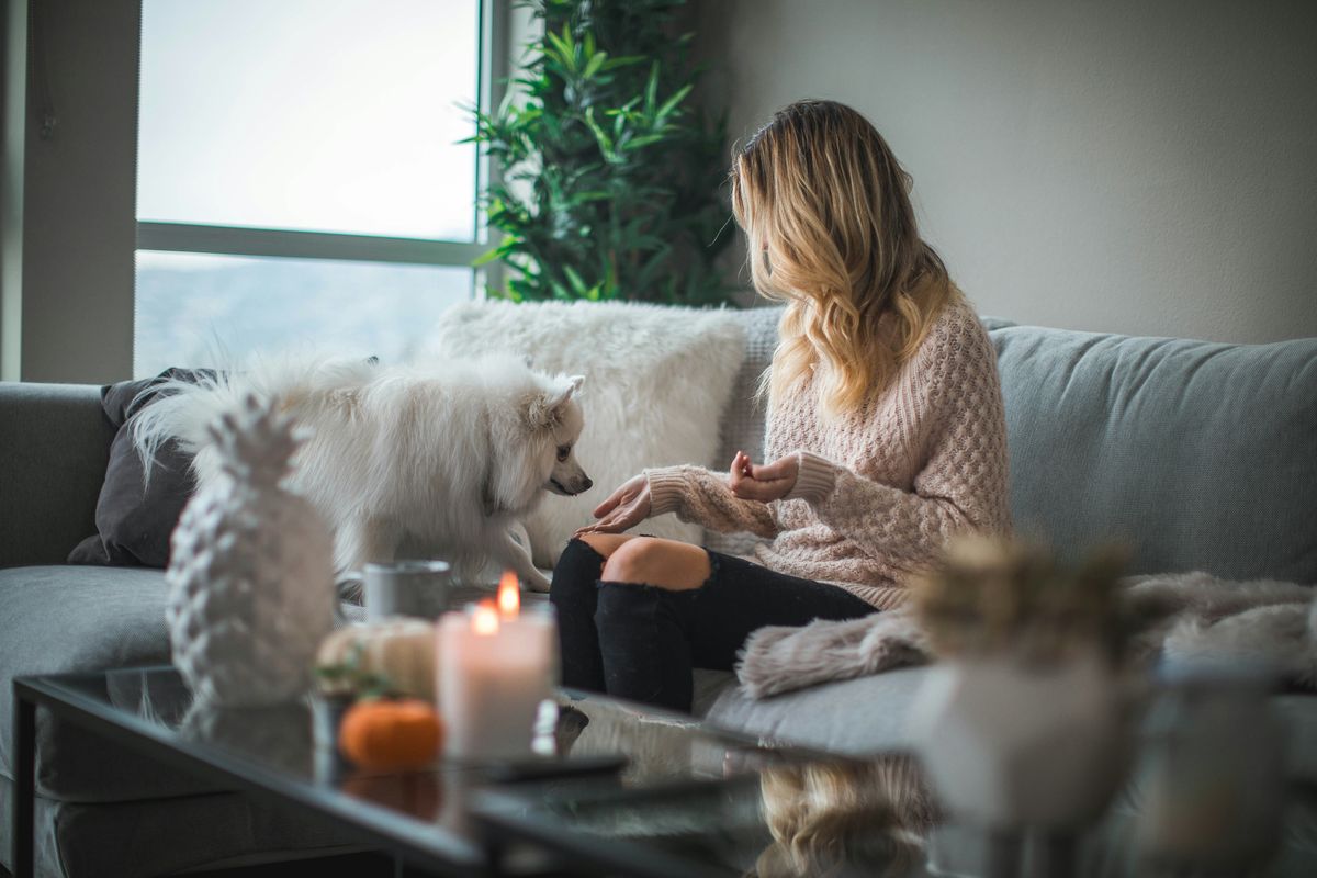 woman, candle, dog